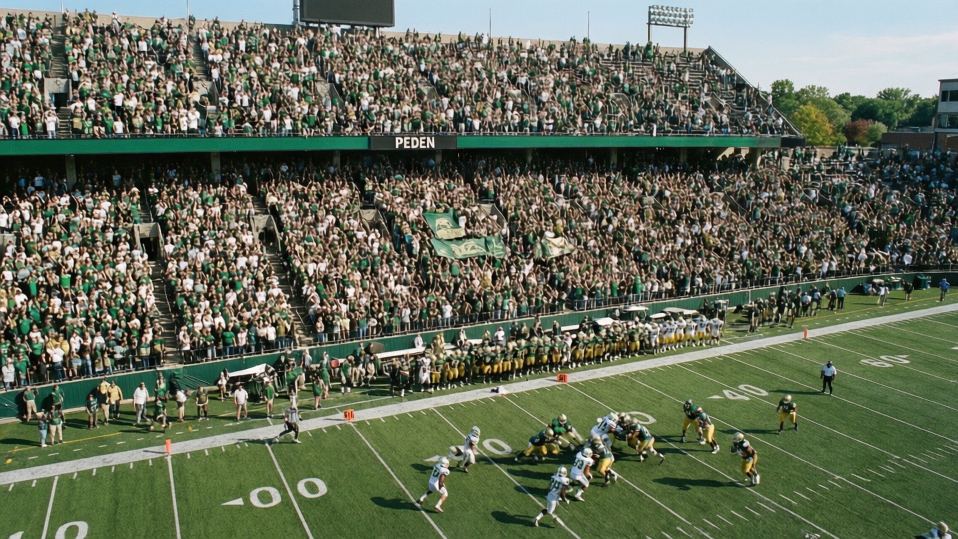 Bobcats at Peden Stadium by Wallpapers.art Studio