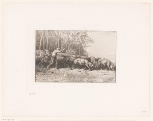 Boer drijft zijn kudde varkens het bos uit