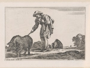 Boer drijft zwijnen voort