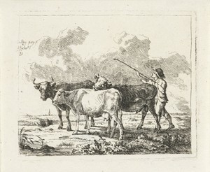 Boer met drie koeien