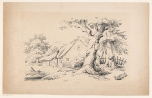 Boerderij en twee bomen