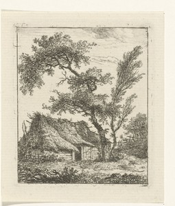 Boerderij met rieten dak en twee bomen