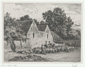 Boeren brengen kudde op stal
