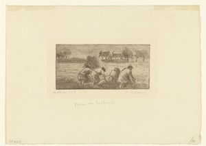 Boeren op het land aan het werk