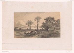 Boerenkar met ossen in een Hongaars landschap