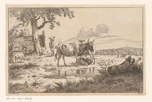Boerin met koeien aan het water