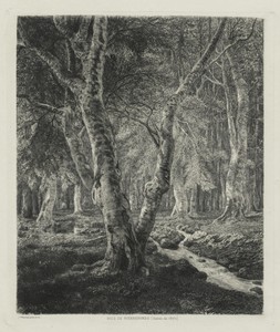 Bois de Pierrefonds