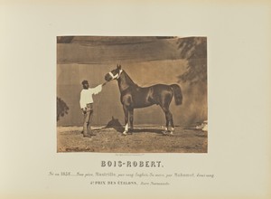 Bois-Robert