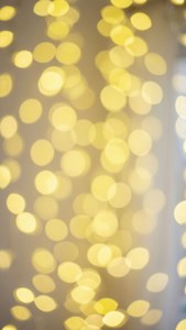 Bokeh Bliss