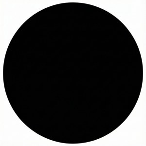 Bold Black Circle