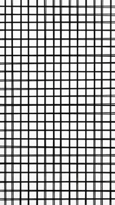 Bold Graph Paper