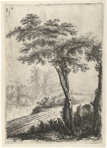 Bomen aan de kant van de weg