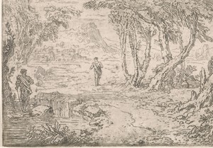 Bomen aan de oever van een meer
