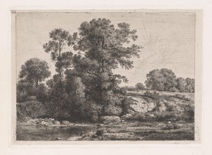 Bomen aan de oever van een poel