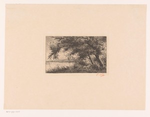 Bomen aan de waterkant