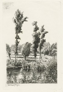Bomen aan een sloot
