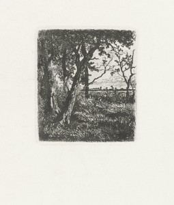 Bomen aan een waterkant