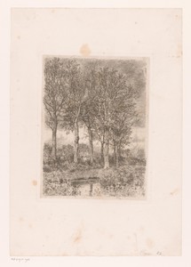 Bomen aan het water met op de achtergrond bebouwing