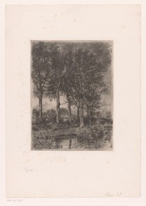 Bomen aan het water met op de achtergrond bebouwing