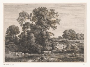 Bomen bij de oever van een poel