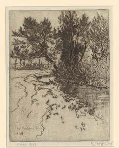 Bomen bij een beek