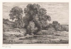 Bomen bij een poel