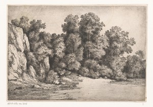 Bomen bij een rotswand