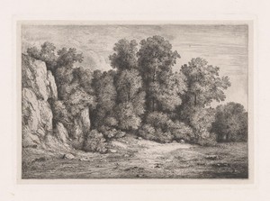 Bomen bij een rotswand
