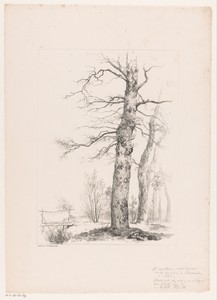 Bomen en brug in landschap