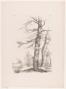 Bomen en brug in landschap