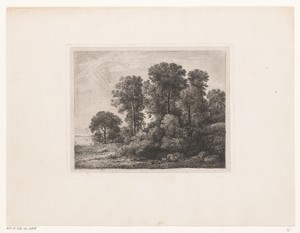Bomen en struikgewas op een heuvel