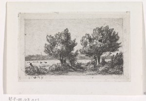 Bomen in een weidelandschap