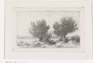 Bomen in een weidelandschap