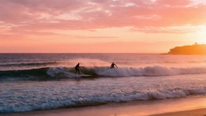 Bondi Sunrise Surf