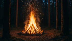 Bonfire in the Dark Woods