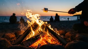 Bonfire Sunset Evening