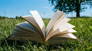 Book in the Meadow