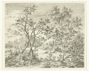Boomrijk landschap met ruiter en voetganger