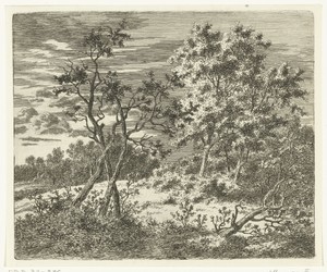 Boomrijk landschap met ruiter en voetganger