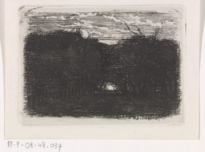 Bos bij nacht