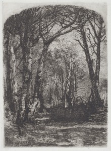 Bosco [Woods]