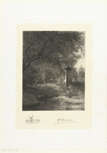 Bosgezicht