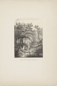 Bosgezicht