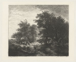 Bosgezicht