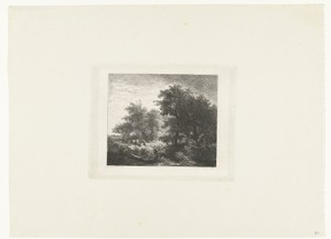 Bosgezicht