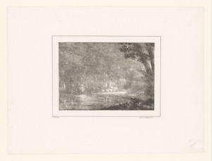 Bosgezicht met huizen en water