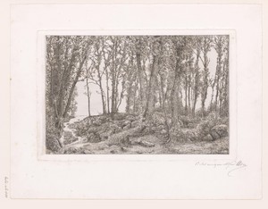 Bosgezicht met links een beek