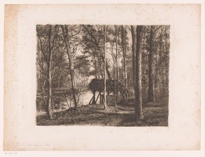 Bosgezicht met water en schuilplaats