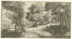 Boslandschap