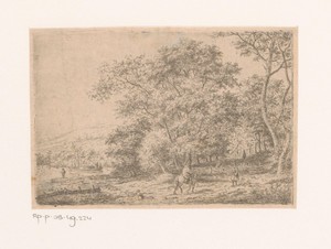 Boslandschap aan een rivier